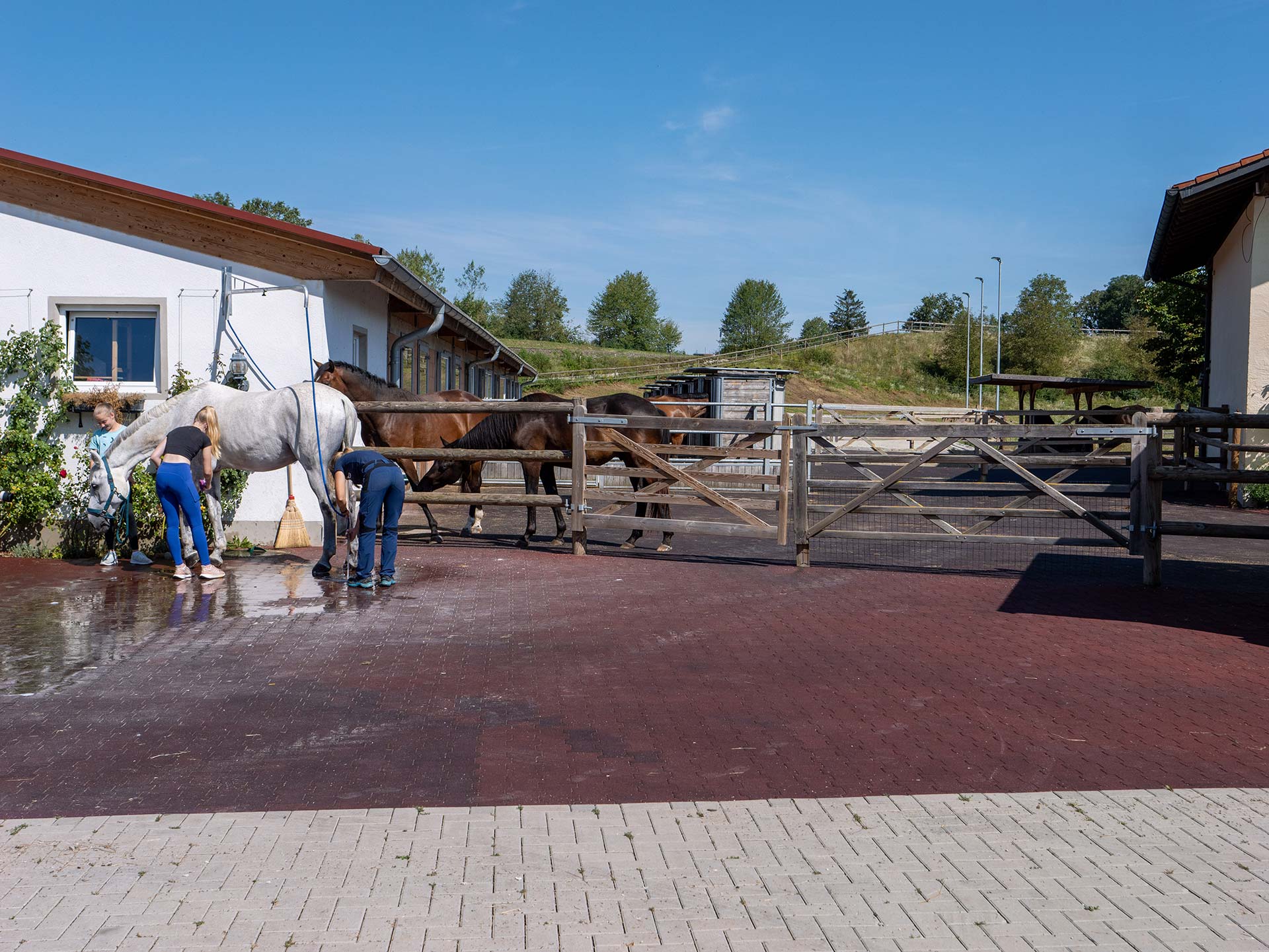 Obiekt woltyżerski Garching, elastyczna kostka
