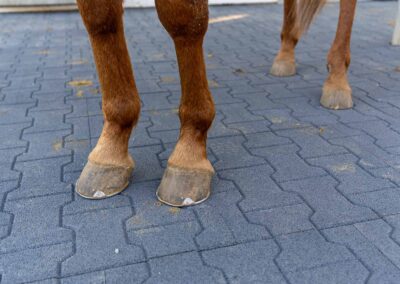 Płyta H-Paver