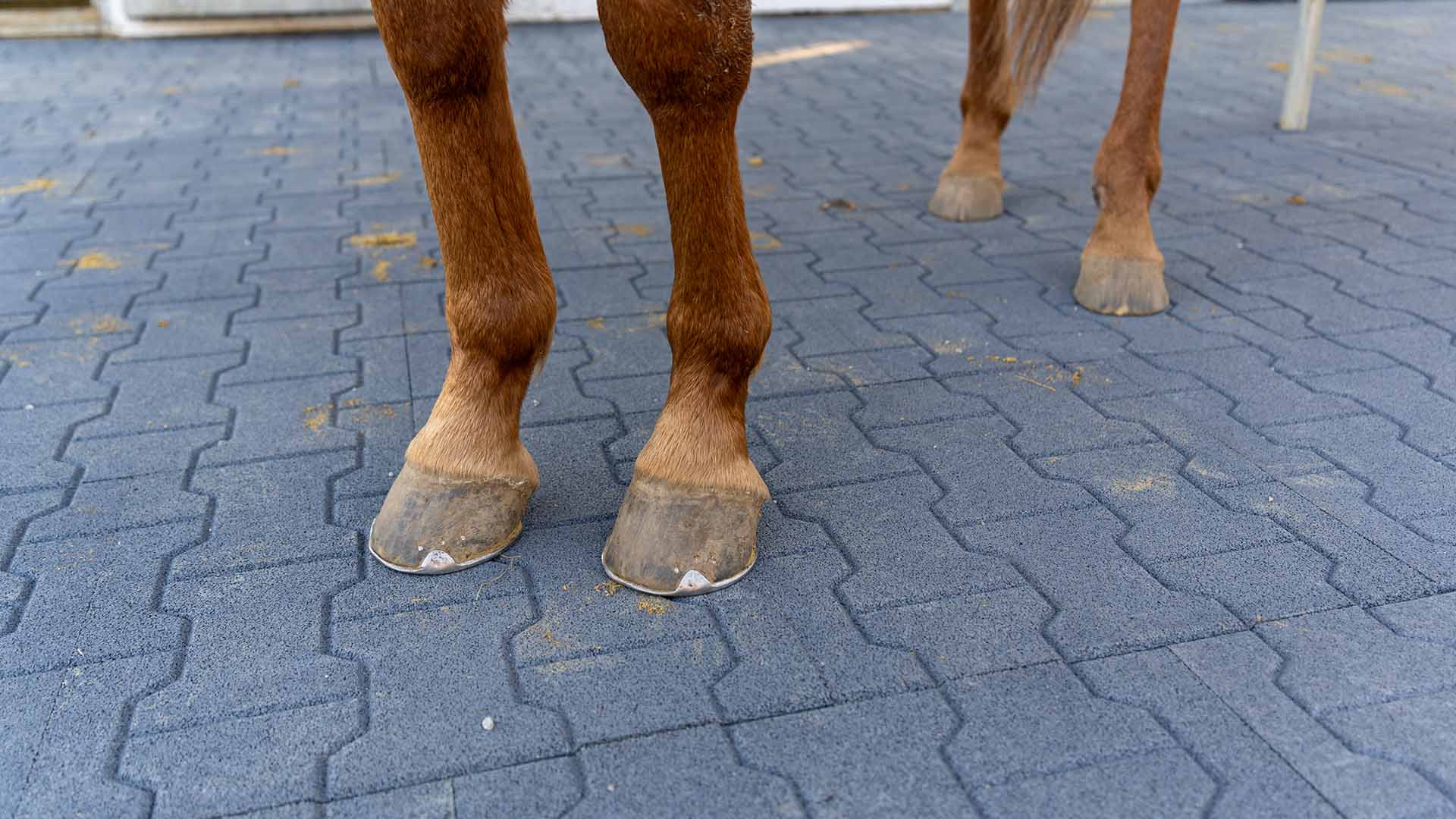 Płyta H-Paver